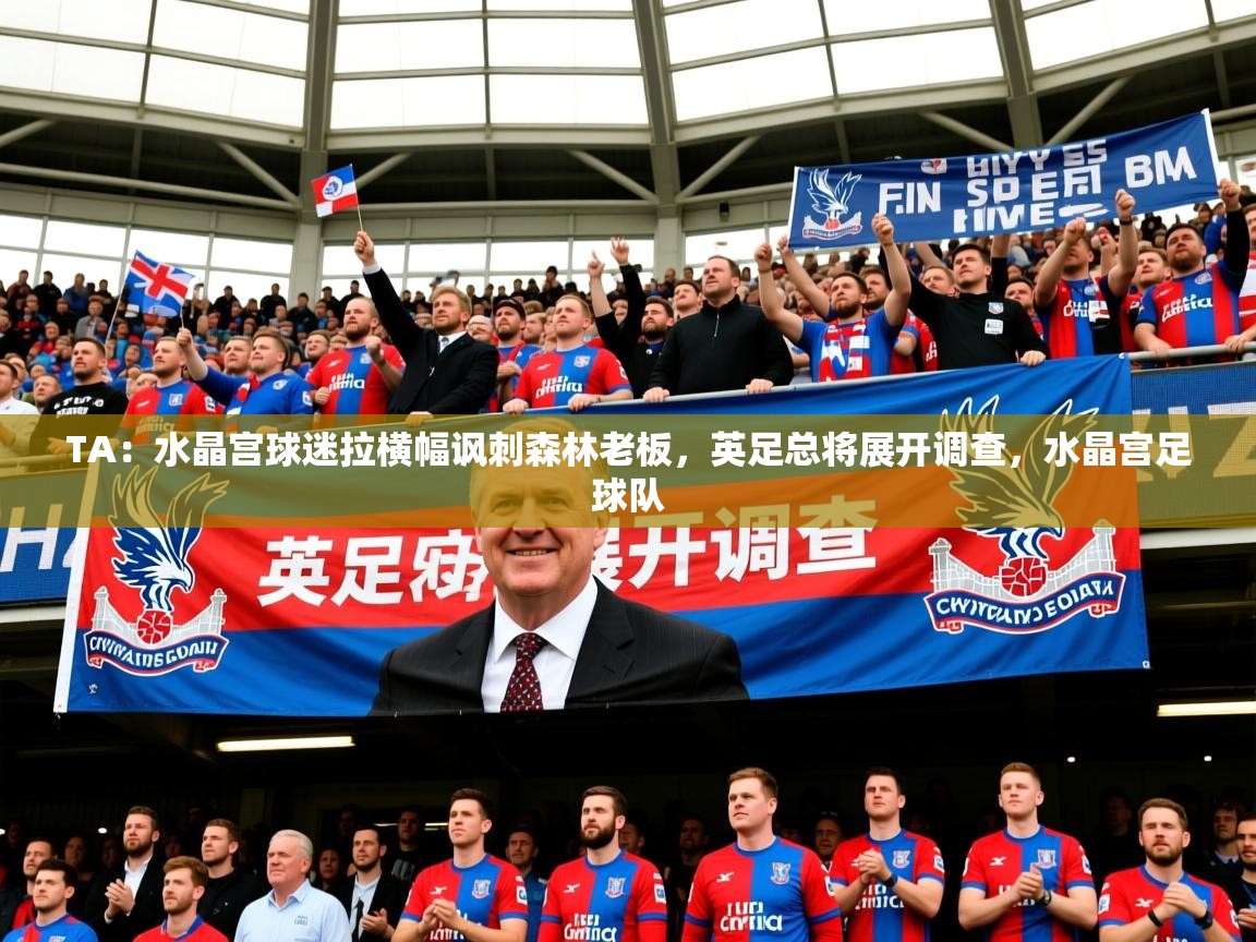 2025爱游戏体育在线平台TA：水晶宫球迷拉横幅讽刺森林老板，英足总将展开调查，水晶宫足球队  第1张
