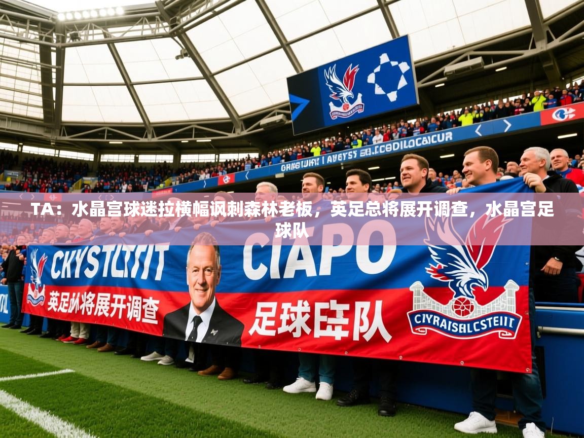 2025爱游戏体育在线平台TA：水晶宫球迷拉横幅讽刺森林老板，英足总将展开调查，水晶宫足球队  第2张