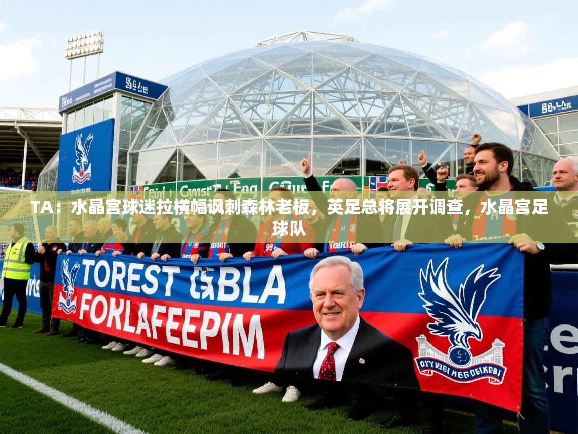 2025爱游戏体育在线平台TA：水晶宫球迷拉横幅讽刺森林老板，英足总将展开调查，水晶宫足球队  第3张