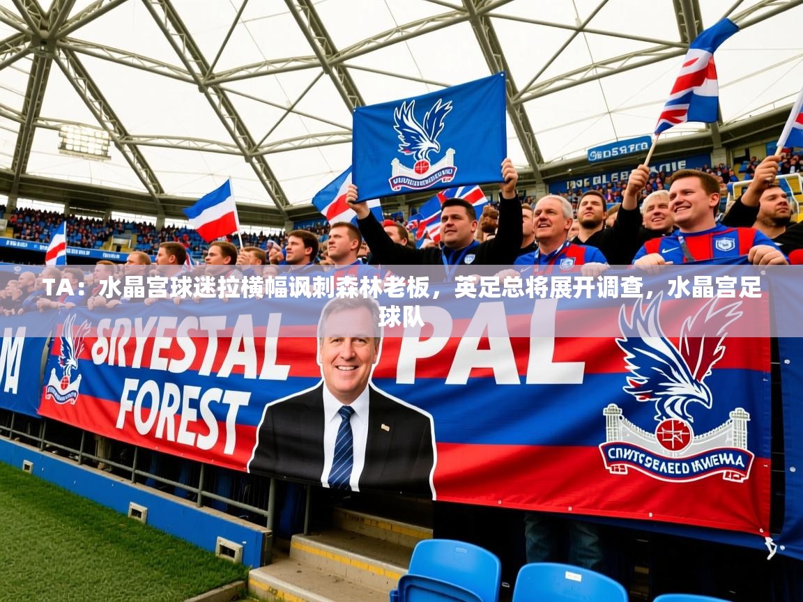 2025爱游戏体育在线平台TA：水晶宫球迷拉横幅讽刺森林老板，英足总将展开调查，水晶宫足球队  第4张