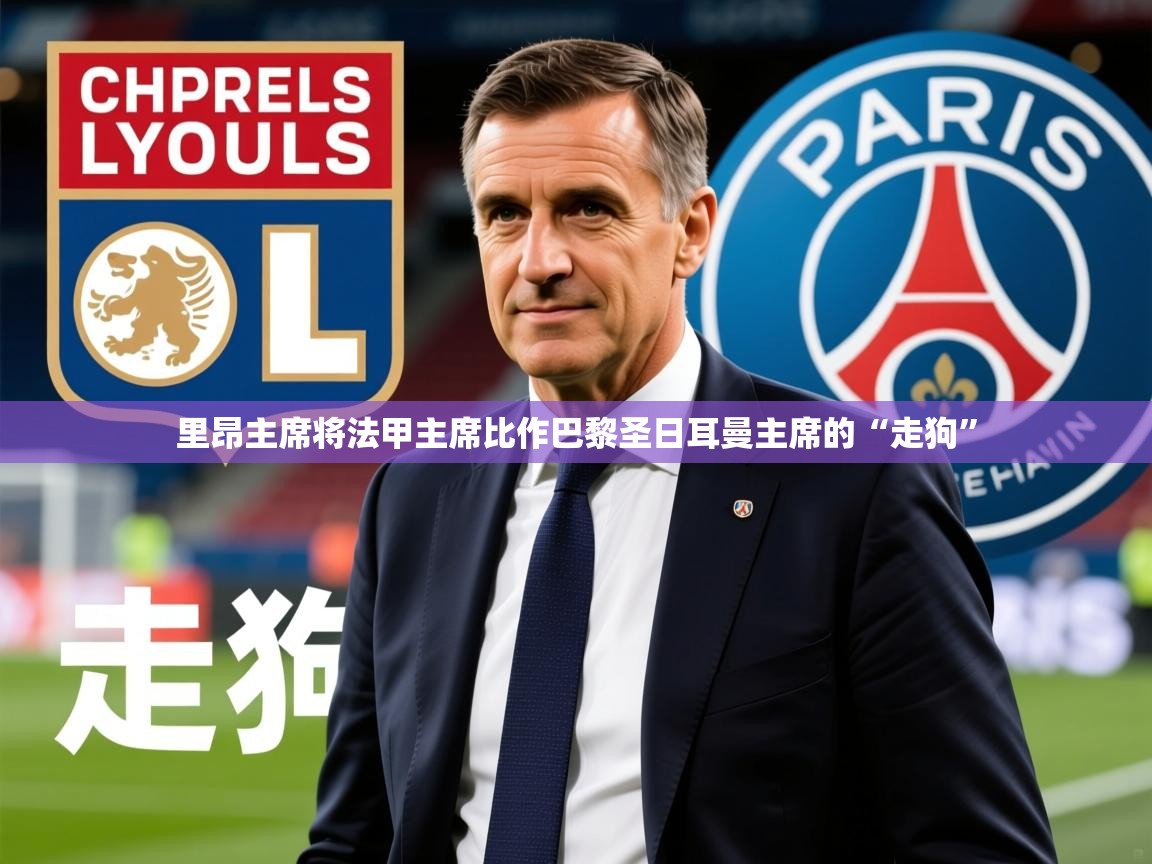 2025爱游戏体育在线平台里昂主席将法甲主席比作巴黎圣日耳曼主席的“走狗” 第1张