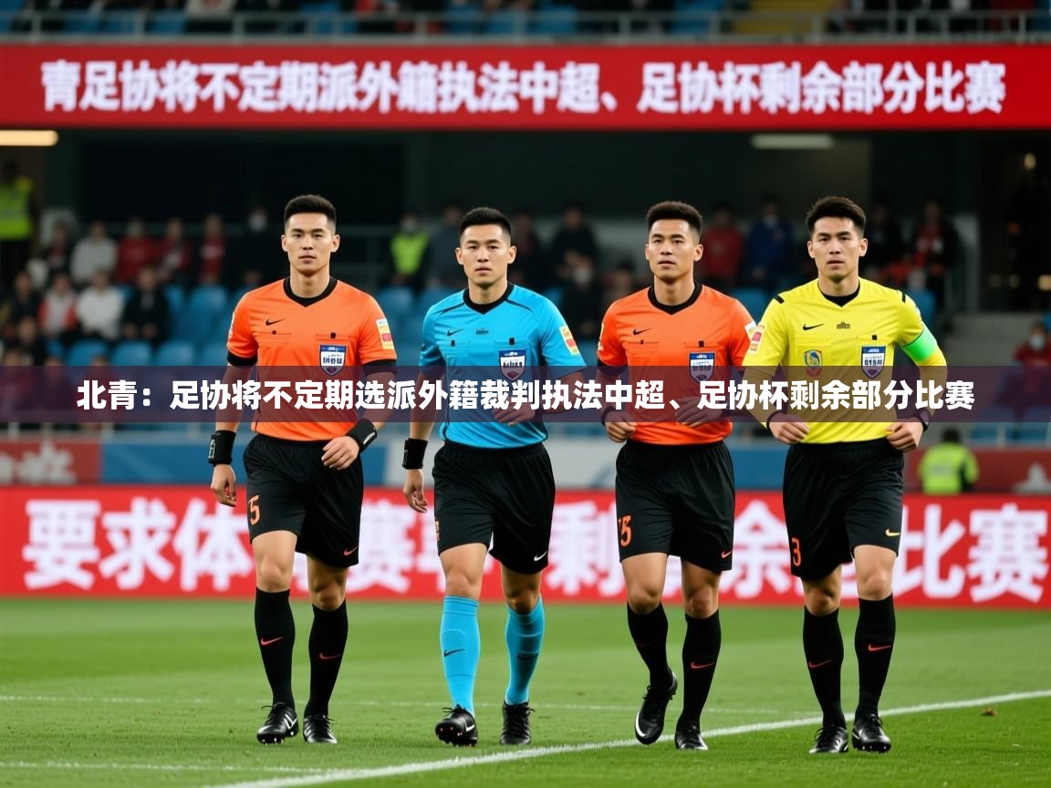 2025爱游戏体育注册官网北青:足协将不定期选派外籍裁判执法中超、足协杯剩余部分比赛 第2张