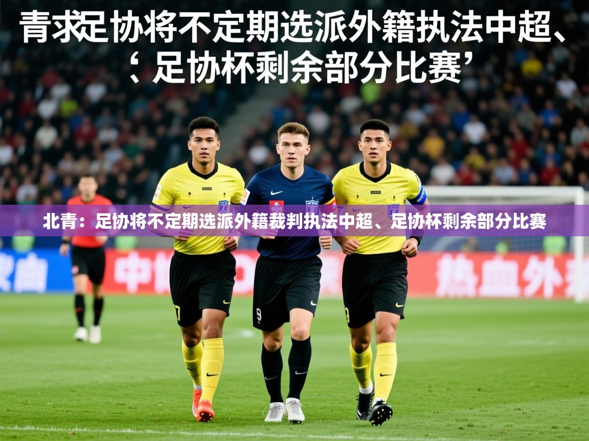 2025爱游戏体育注册官网北青:足协将不定期选派外籍裁判执法中超、足协杯剩余部分比赛 第3张
