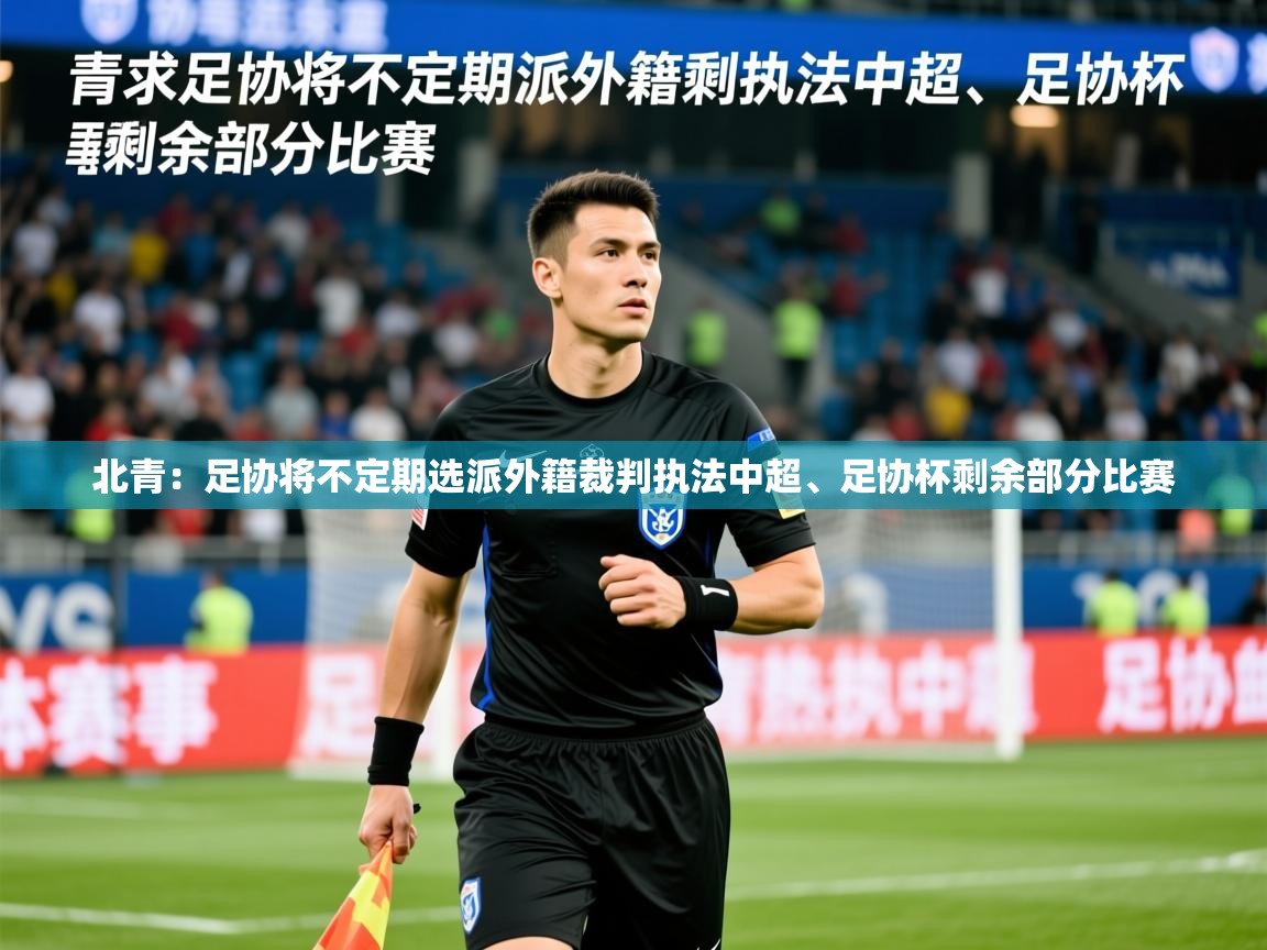 2025爱游戏体育注册官网北青:足协将不定期选派外籍裁判执法中超、足协杯剩余部分比赛 第4张