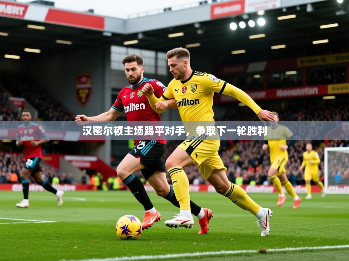 2026爱游戏体育汉密尔顿主场踢平对手，争取下一轮胜利  第3张