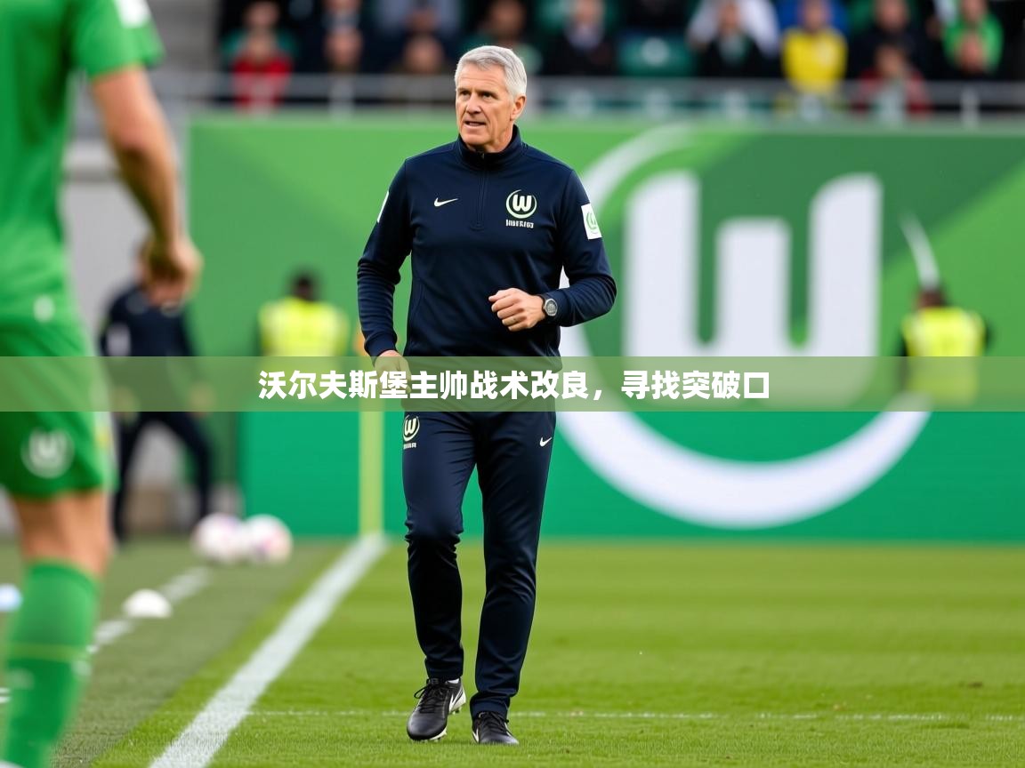 2026爱游戏体育官网网页登录沃尔夫斯堡主帅战术改良，寻找突破口  第2张