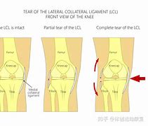 关于北方墨狱全队膝盖弯曲，抢下首胜的信息